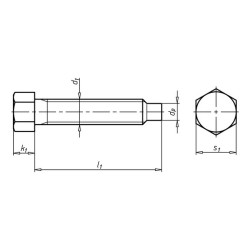 БОЛТ-6ГР-УСТ-DIN561-8.8-WS18-(A2K)-M16X90